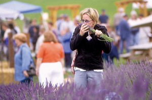 DC.Lav sniffing lady