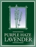 Purple Haze Lavender