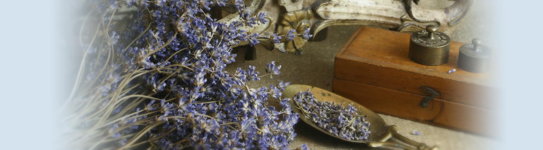 vintage lavender