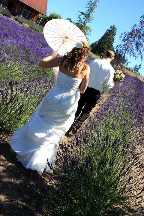 Purple Haze Lavender Wedding