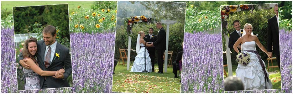 Weddings at Purple Haze