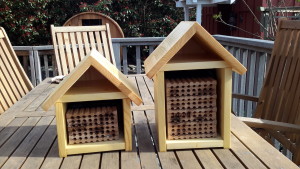 photo of mason bee houses