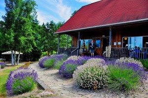 photo of farm gift shop